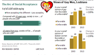 What Society thinks about Lesbianism, Facts & Figures, Statistics